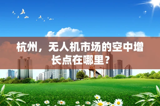 杭州，无人机市场的空中增长点在哪里？