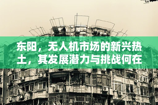 东阳，无人机市场的新兴热土，其发展潜力与挑战何在？