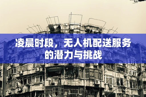 凌晨时段，无人机配送服务的潜力与挑战