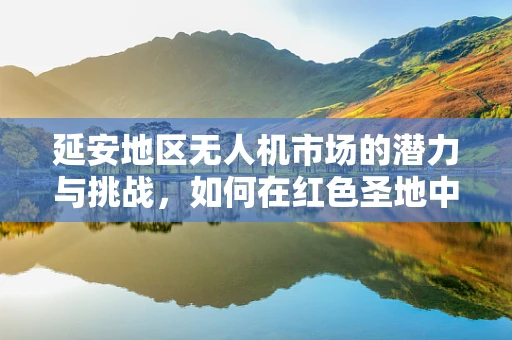 延安地区无人机市场的潜力与挑战，如何在红色圣地中探索新航向？