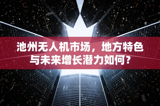 池州无人机市场，地方特色与未来增长潜力如何？