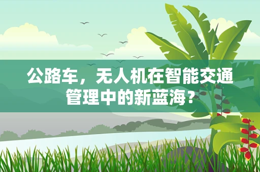 公路车，无人机在智能交通管理中的新蓝海？