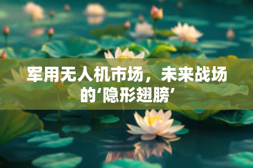 军用无人机市场，未来战场的‘隐形翅膀’
