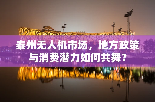 泰州无人机市场，地方政策与消费潜力如何共舞？