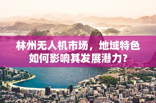 林州无人机市场，地域特色如何影响其发展潜力？