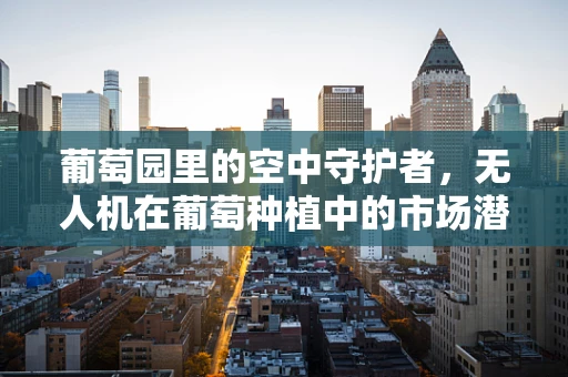 葡萄园里的空中守护者，无人机在葡萄种植中的市场潜力与挑战