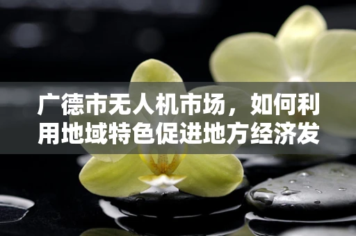 广德市无人机市场，如何利用地域特色促进地方经济发展？