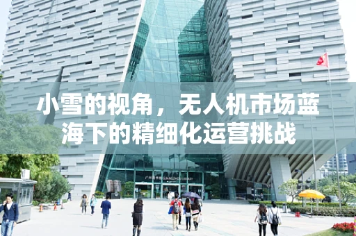 小雪的视角，无人机市场蓝海下的精细化运营挑战
