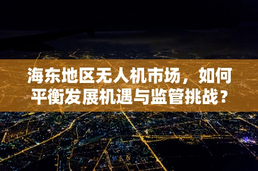 海东地区无人机市场，如何平衡发展机遇与监管挑战？
