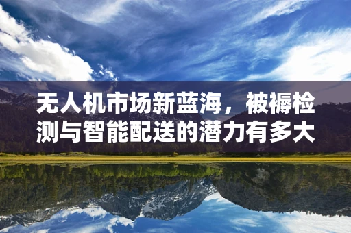 无人机市场新蓝海，被褥检测与智能配送的潜力有多大？
