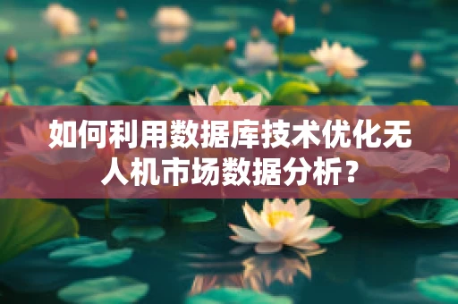 如何利用数据库技术优化无人机市场数据分析？