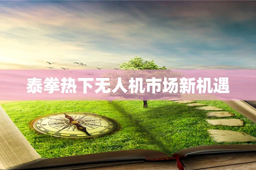 泰拳热下无人机市场新机遇