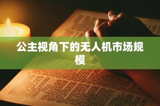 公主视角下的无人机市场规模