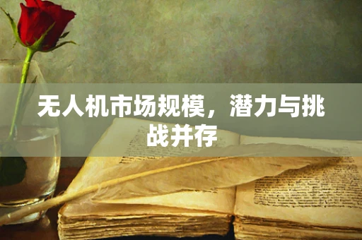 无人机市场规模，潜力与挑战并存