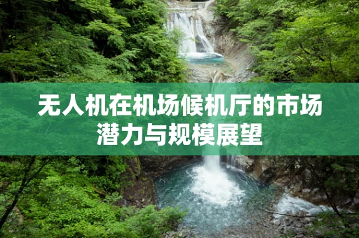 无人机在机场候机厅的市场潜力与规模展望