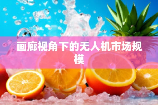 画廊视角下的无人机市场规模