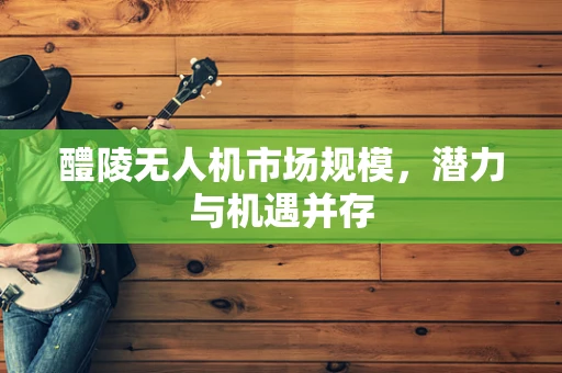 醴陵无人机市场规模，潜力与机遇并存