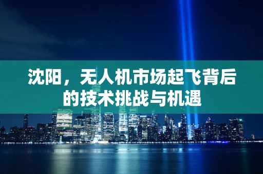 沈阳，无人机市场起飞背后的技术挑战与机遇