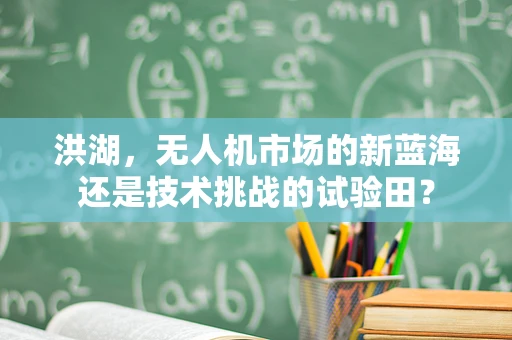 洪湖，无人机市场的新蓝海还是技术挑战的试验田？