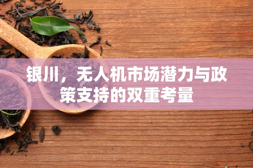 银川，无人机市场潜力与政策支持的双重考量