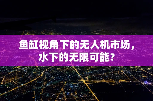 鱼缸视角下的无人机市场，水下的无限可能？