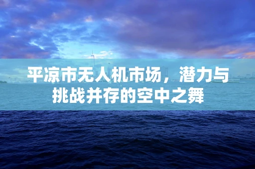 平凉市无人机市场，潜力与挑战并存的空中之舞