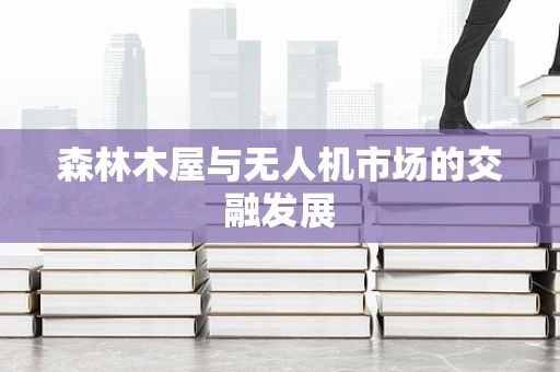 森林木屋与无人机市场的交融发展