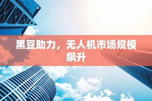 黑豆助力，无人机市场规模飙升