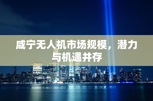 咸宁无人机市场规模，潜力与机遇并存