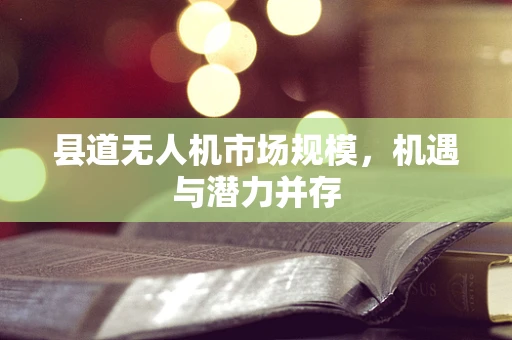 县道无人机市场规模，机遇与潜力并存