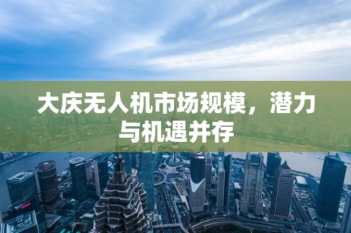 大庆无人机市场规模，潜力与机遇并存