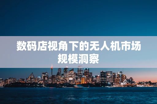 数码店视角下的无人机市场规模洞察