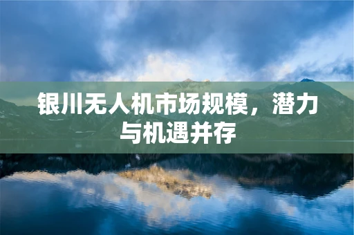 银川无人机市场规模，潜力与机遇并存