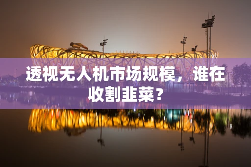 透视无人机市场规模，谁在收割韭菜？