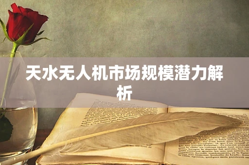 天水无人机市场规模潜力解析