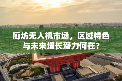 廊坊无人机市场，区域特色与未来增长潜力何在？