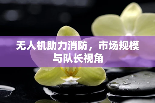 无人机助力消防，市场规模与队长视角