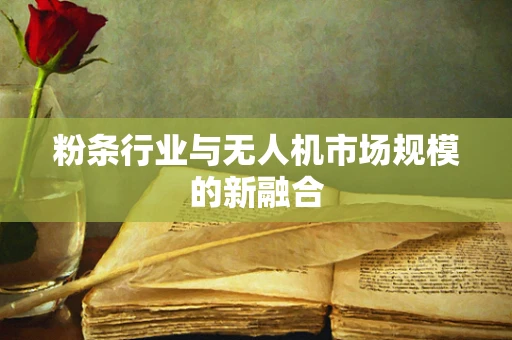 粉条行业与无人机市场规模的新融合