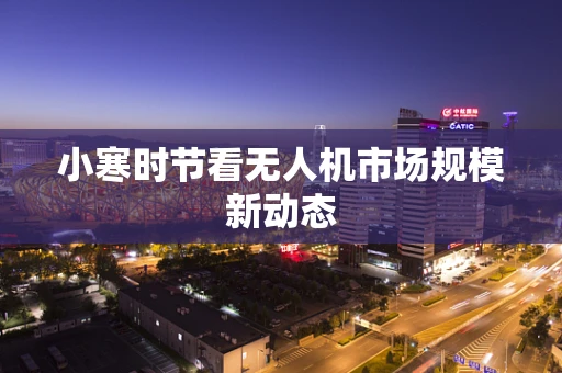小寒时节看无人机市场规模新动态