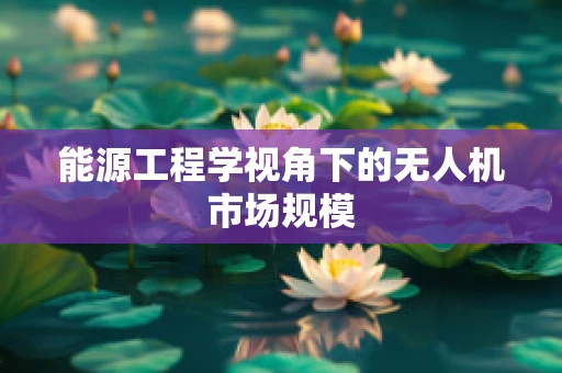能源工程学视角下的无人机市场规模