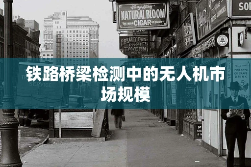 铁路桥梁检测中的无人机市场规模