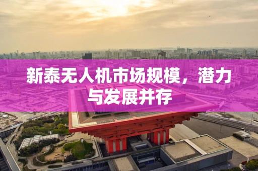 新泰无人机市场规模，潜力与发展并存