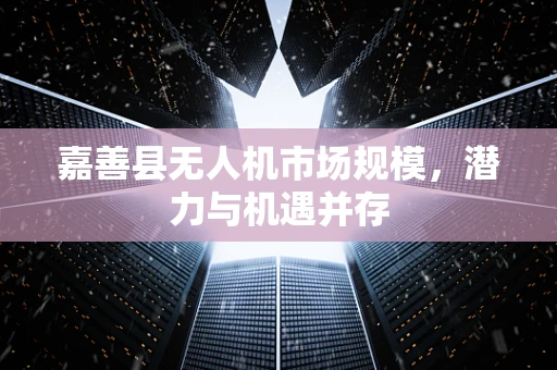 嘉善县无人机市场规模，潜力与机遇并存