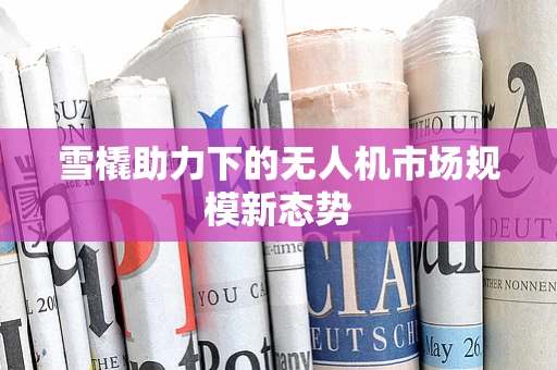 雪橇助力下的无人机市场规模新态势