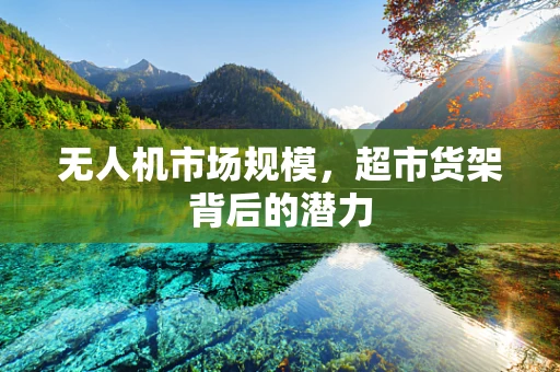 无人机市场规模，超市货架背后的潜力