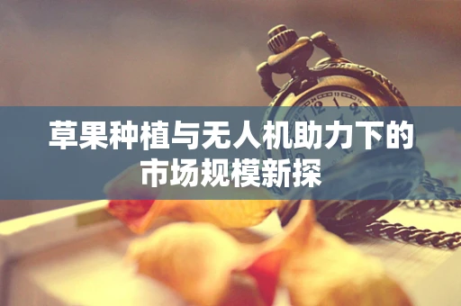 草果种植与无人机助力下的市场规模新探