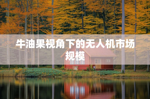 牛油果视角下的无人机市场规模