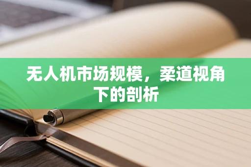 无人机市场规模，柔道视角下的剖析