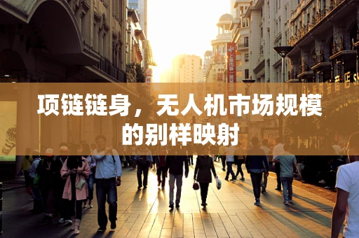 项链链身，无人机市场规模的别样映射
