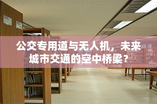 公交专用道与无人机，未来城市交通的空中桥梁？